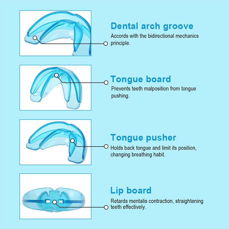 Adult Dental Trays Retainer